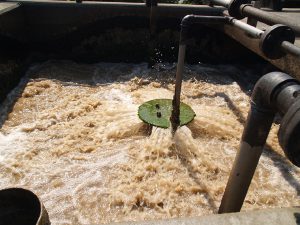 汚泥はどうやって処分する?種類や処理方法から汚泥脱水機・汚泥濃縮機の役割を解説